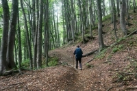 Кубань планирует развивать экологический туризм