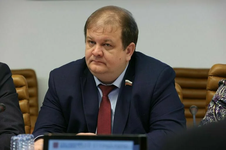 Сенатор Безденежных призвал освещать в культуре идеологию борьбы с Западом