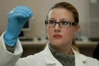 Данкверт рассказал об угрозах от китайского усача и бурой гнили