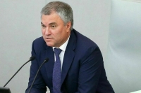 Володин предложил ввести уголовное наказание за использование пальмового масла в продуктах