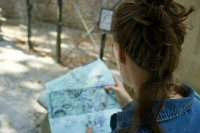 Требования к образованию гидов предложили ужесточить