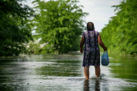 Сальдо: Птицы могут распространить инфекции после подрыва Каховской ГЭС