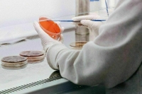 В Роспотребнадзоре исключили попадание в Россию чумы из Монголии