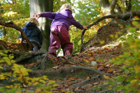 В Калуге три ребенка сбежали из детского сада