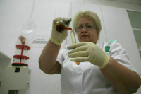 В Роспотребнадзоре опровергли угрозу распространения сибирской язвы