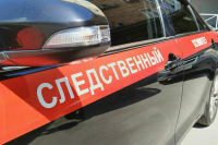 По факту столкновения теплохода с пирсом в Ярославле возбуждено дело