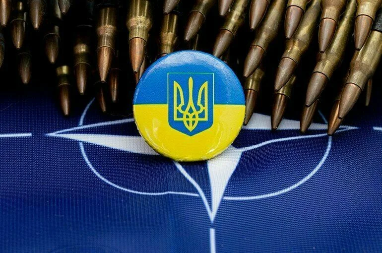  НАТО хочет поделить Украину на части
