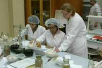 Медикам хотят повысить штрафы за нарушение договора о целевом обучении