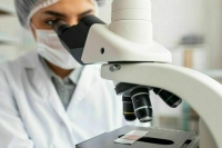 Причиной отравления детей в лагере «Волна» на Урале стал норовирус