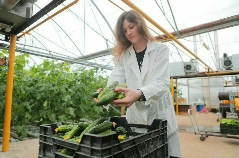 Стратегия развития производства органической продукции утверждена до 2030 года