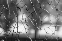 В Белгородской области испытали бронированную пленку для окон в школах