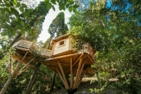 На туристическом рынке просят повременить с присвоением звезд глэмпингам