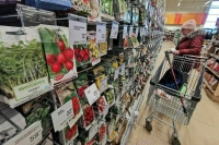 Госдума приняла закон о господдержке отечественного семеноводства