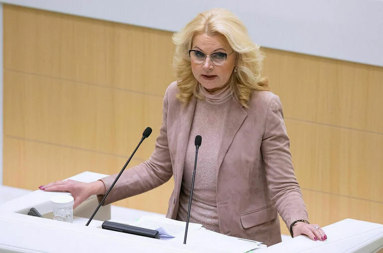 Голикова предложила запустить систему электронных виз для въезда в РФ