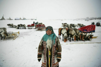 Госдума разрешила перевозить продукты на Крайний Север по льготным тарифам