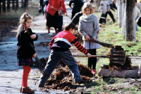 В школах появится трудовое воспитание