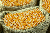 На юге Украины получили повреждения пункты хранения зерна