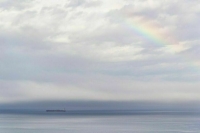 Следы взрывчатки нашли на борту пришедшего в РФ за зерном иностранного судна