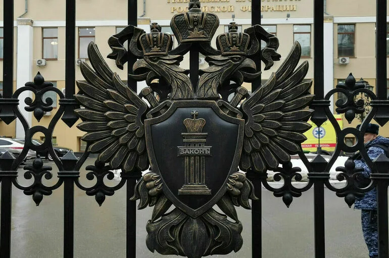 В России признали нежелательной деятельность двух европейских НПО