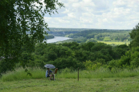 Аренду земель с лесными насаждениями упростят