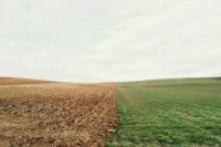 Россельхознадзор займется обеззараживанием подкарантинной продукции