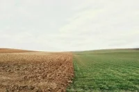 Россельхознадзор займется обеззараживанием подкарантинной продукции