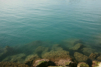 Зафиксирована рекордная среднесуточная температура поверхности воды Средиземного моря