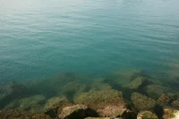 Зафиксирована рекордная среднесуточная температура поверхности воды Средиземного моря