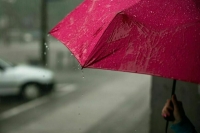 В Москве менее чем за сутки выпало рекордное с 1894 года количество осадков 