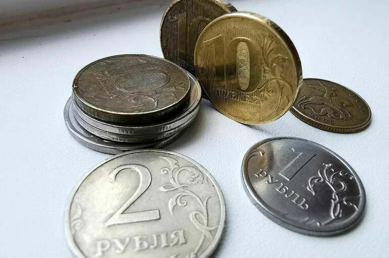 Комитет Совфеда поддержал закон о партнерском финансировании