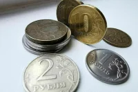 Комитет Совфеда поддержал закон о партнерском финансировании