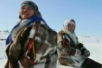 Северный завоз спланируют на три года вперед