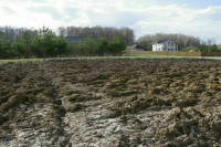 Бизнес, попавший под обстрел ВСУ, сможет арендовать другие земли без торгов