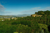 Совфед одобрил закон о развитии оздоровительных курортов