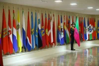 Откуда верблюд и барс пришли на флаги российских регионов 
