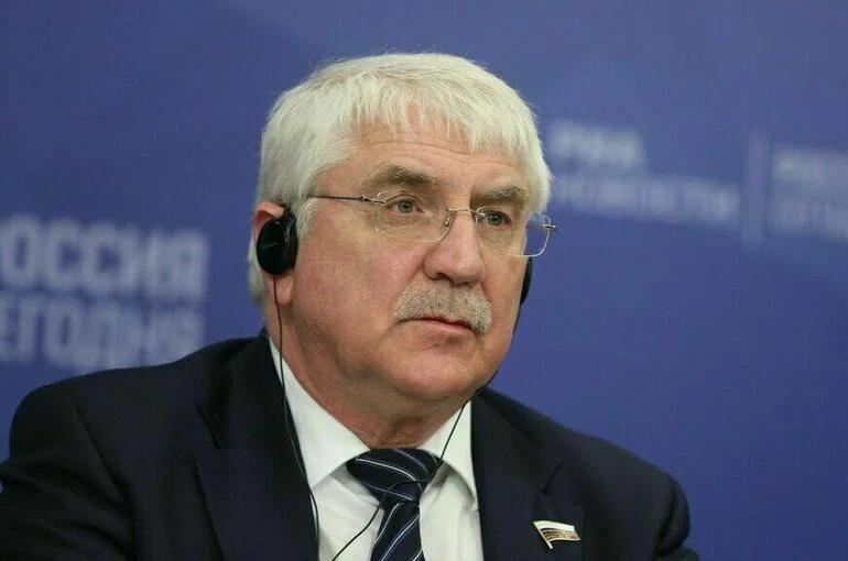 Чепа назвал цели визита Путина в Турцию