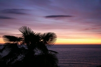 В Сочи усилят меры безопасности морского торгового порта