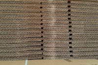 Производителям биотоплива и картона дадут господдержку