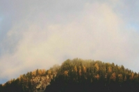 Греция направила на Кипр два самолета для тушения лесного пожара