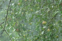 В МЧС не исключили сбоя систем жизнеобеспечения Сибири и ДФО из-за непогоды