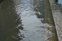 В Приморье из-за паводка введен режим ЧС