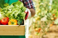 Фермерам помогут торговать выращенной продукцией