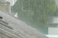 Режим ЧС ввели в шести муниципалитетах Приморского края из-за подтоплений