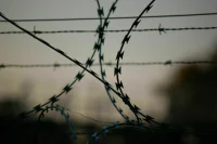 В Греции заключено под стражу более ста футбольных хулиганов