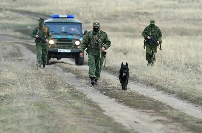 В Брянской области ликвидировали пятерых украинских диверсантов