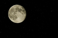 На станции «Луна-25» произошла нештатная ситуация