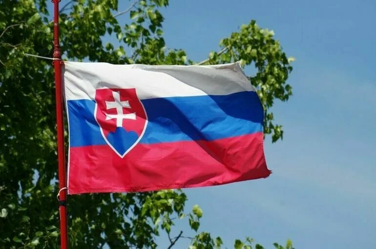 В Словакии отстранен от должности глава секретной службы