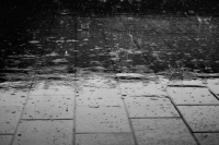 Вильфанд спрогнозировал сильные ливни в Приморье