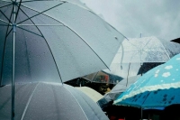 Синоптик спрогнозировал в Москве ливни и порывистый ветер 23 августа