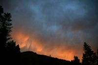 В Турции эвакуировали более тысячи человек из-за лесного пожара